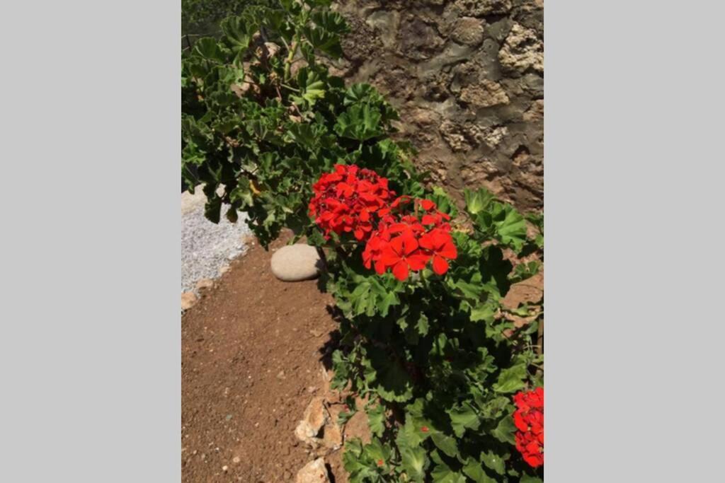 Gerani Maison Agios Aimilianos Beautiful View Porto Cheli Buitenkant foto